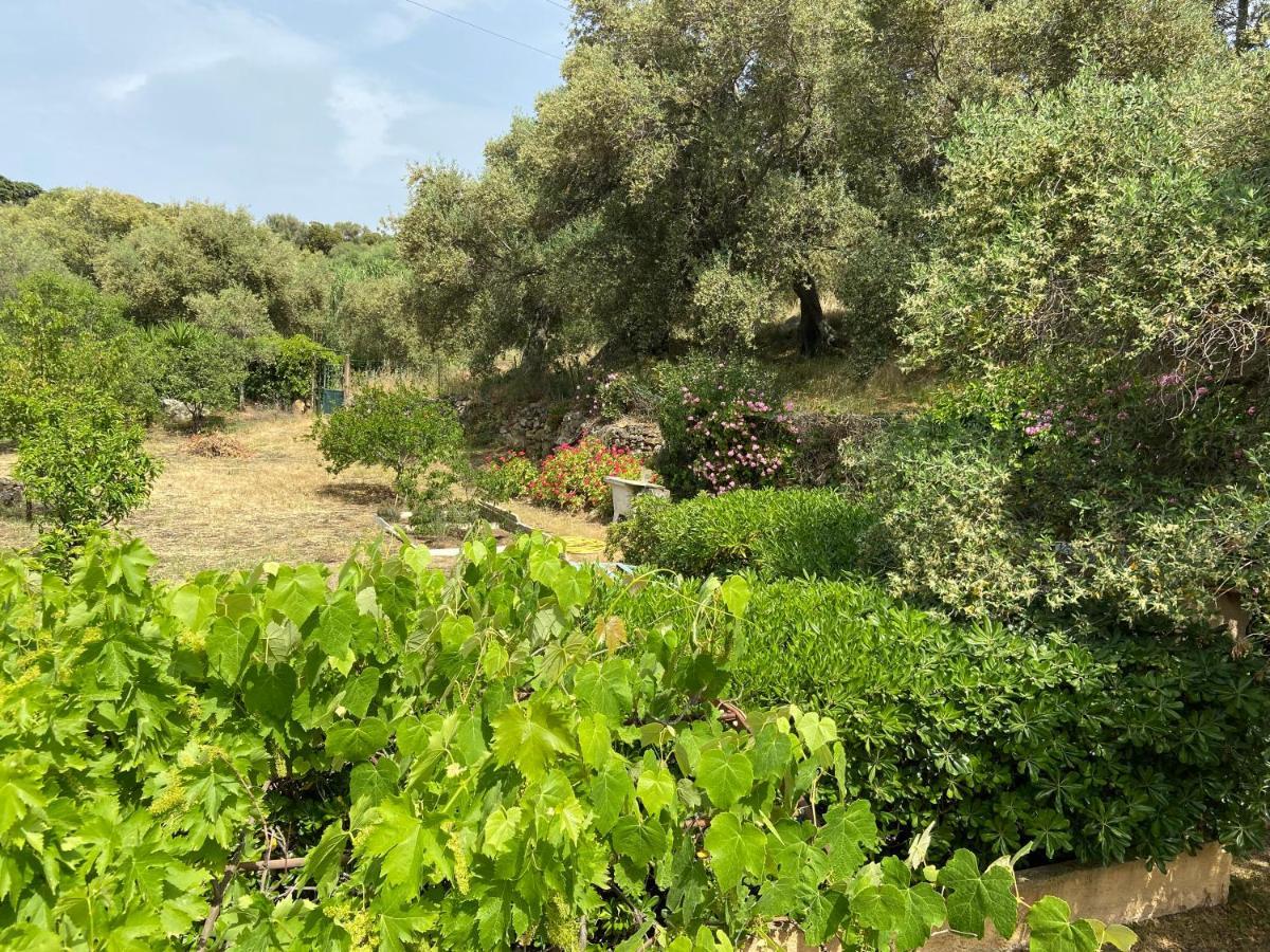 Seaview Garden Villa L'Ile-Rousse  Bagian luar foto